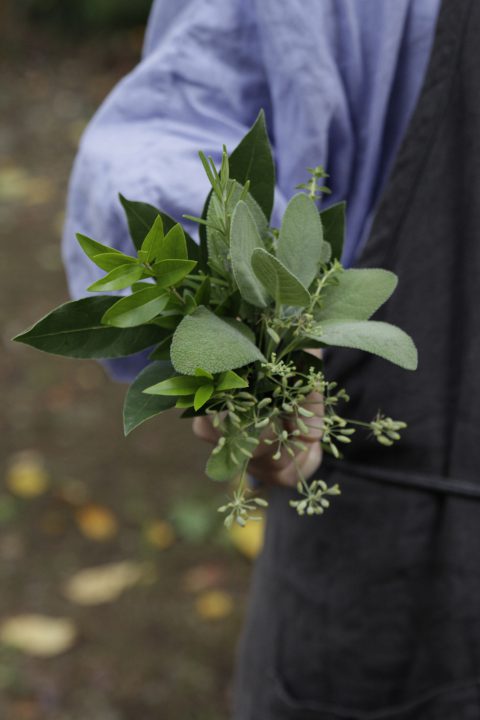 today's bouquet