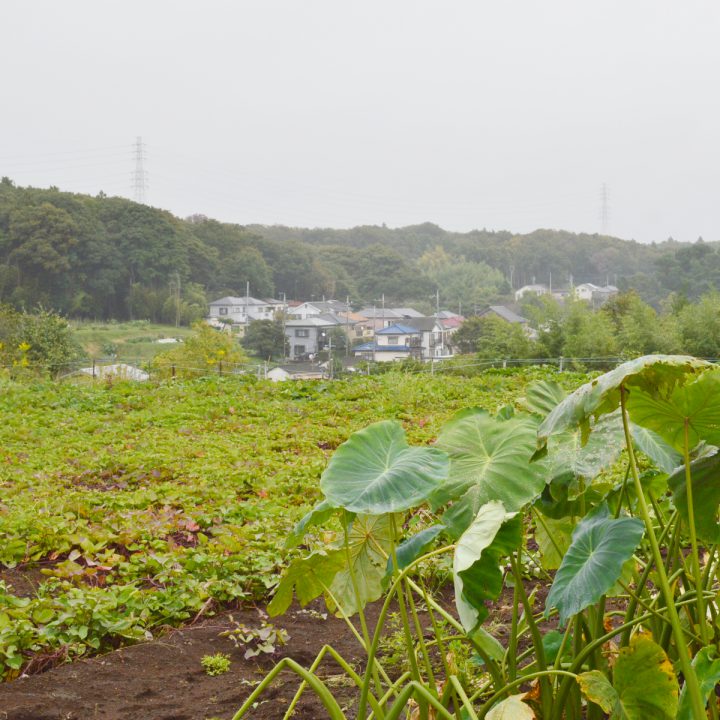 工房からの景色